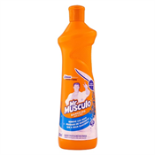 MR MUSCULO BANHEIRO SQUEEZE 500ML
