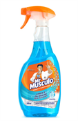 MR MUSCULO LIMPA VIDROS APARELHO 500ML